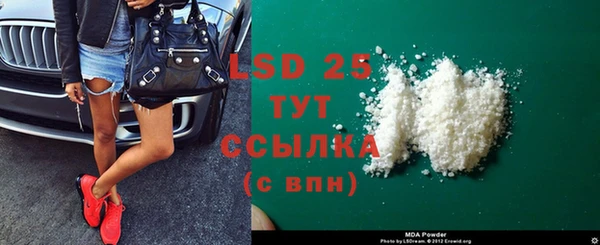 амф Бородино