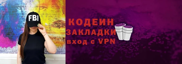 амф Бородино