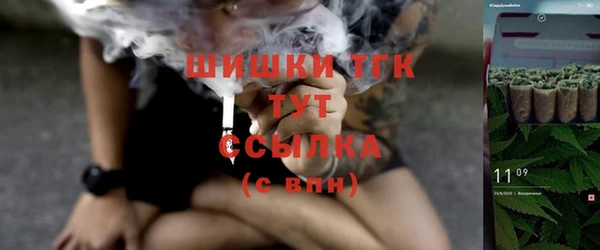 амф Бородино