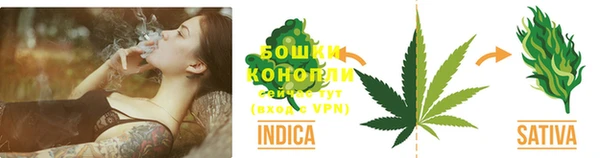 трава Бронницы