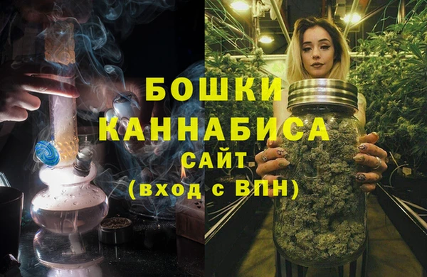 амф Бородино
