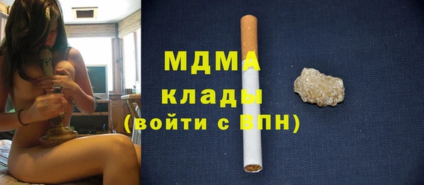 амф Бородино