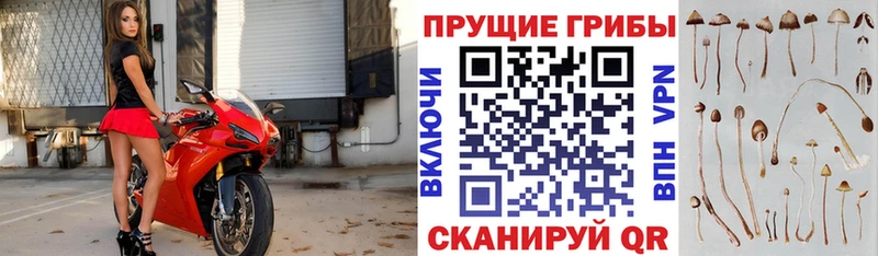Галлюциногенные грибы MAGIC MUSHROOMS  Саратов 